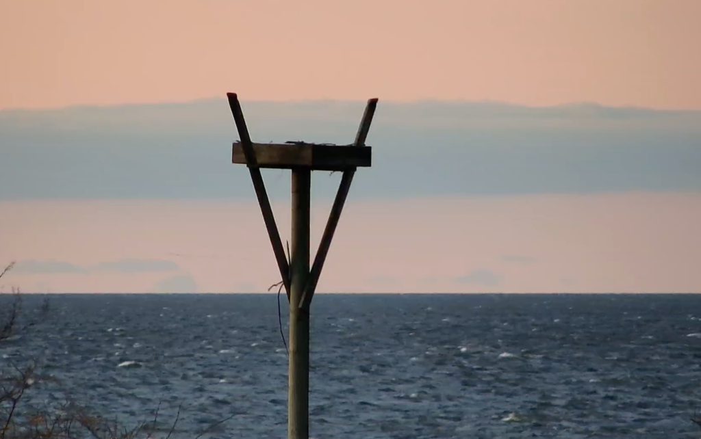 Seaside Park webcam. (Screenshot)