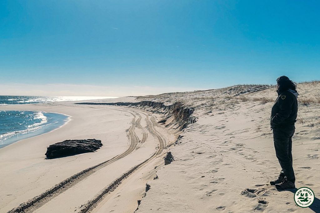 The wreck of the Lawrence N. McKenzie, uncovered at Island Beach State Park, Jan.-Feb. 2026. (Photo: IBSP)