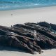 The wreck of the Lawrence N. McKenzie, uncovered at Island Beach State Park, Jan.-Feb. 2026. (Photo: IBSP)