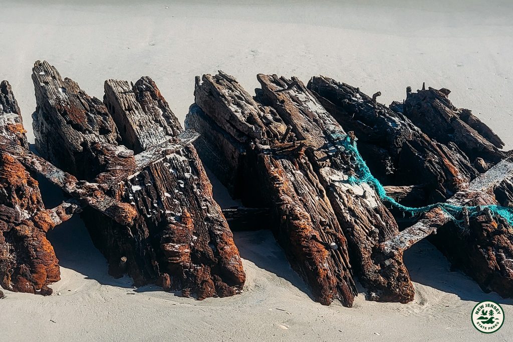 The wreck of the Lawrence N. McKenzie, uncovered at Island Beach State Park, Jan.-Feb. 2026. (Photo: IBSP)
