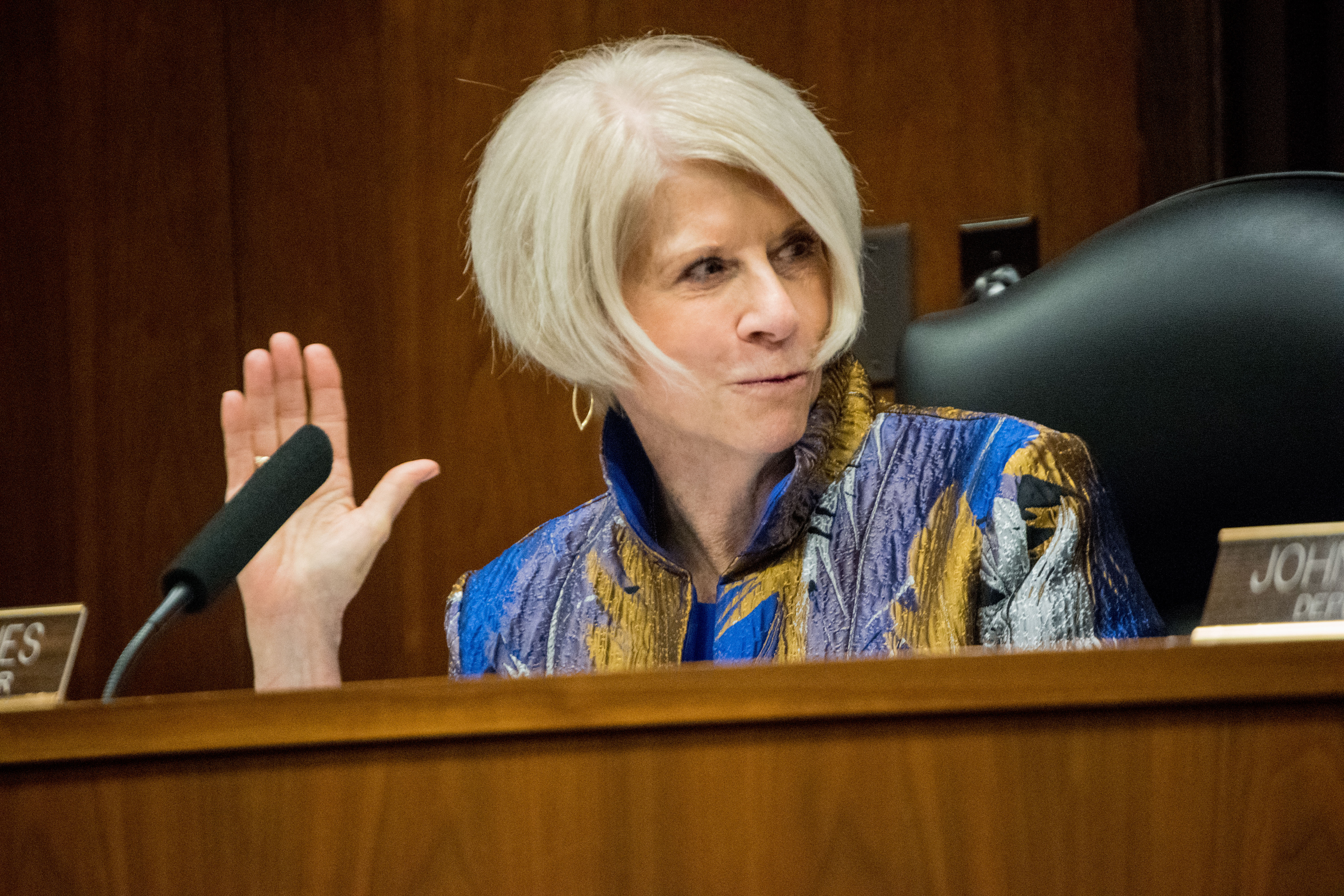 Freeholder Virginia Haines. (Photo: Daniel Nee)