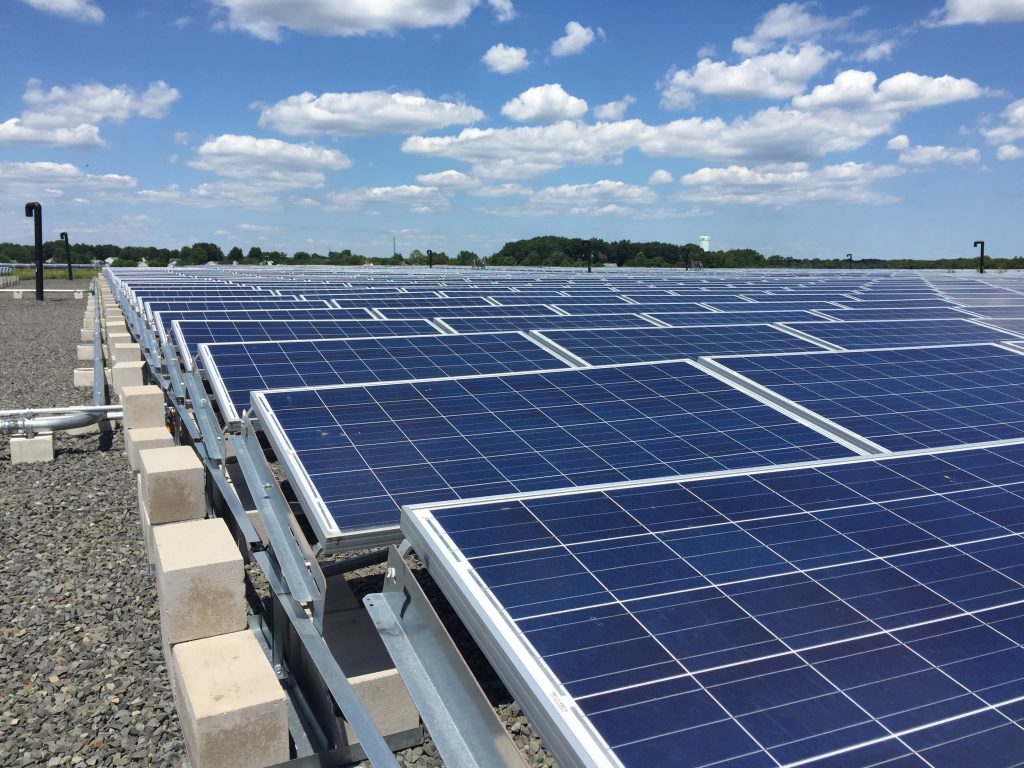 Solar panels at the former French’s Landfill site. (Photo: Daniel Nee)