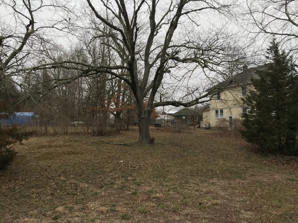 The Hankins Farm property on Brookside Drive in Toms River. (Photo: Daniel Nee)