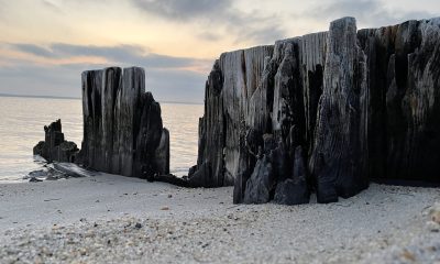 A calm night on Barnegat Bay, May 2, 2022. (Photo: Daniel Nee)