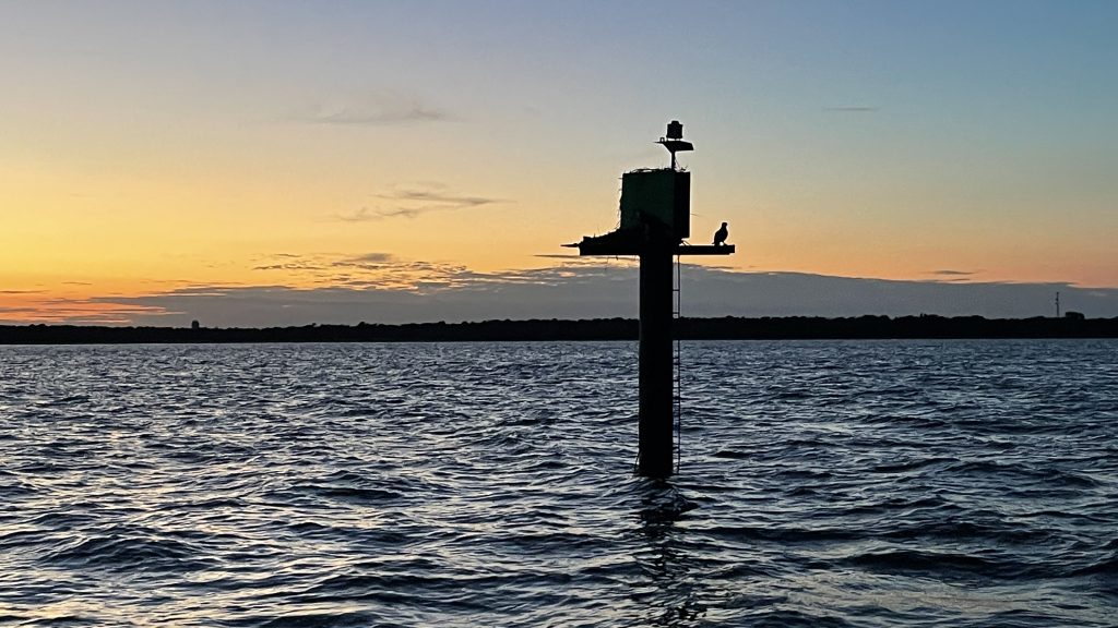 Two osprey in a nest on a channel marker in Barnegat Bay off Lavallette, N.J., Aug. 2022. (Photo: Daniel Nee)
