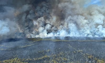 The Jones Road fire, April 2025. (Credit: NJDEP/ X)