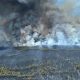 The Jones Road fire, April 2025. (Credit: NJDEP/ X)